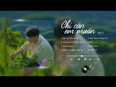 Playlist Chỉ Cần Em Muốn | Những Bài Hát Hay Nhất Của NP.2