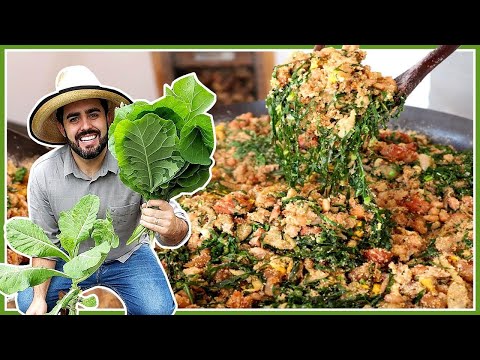 FEIJÃO TROPEIRO - SIMPLES - FÁCIL - Receitas de Pai