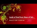 Lamb of God from Mass of Saint Louis: Frank Speller