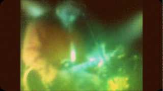 Lovers Dream ( revisited ) by K with Tender Prey