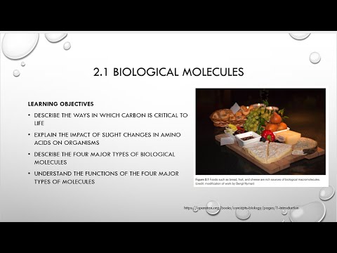2.1 Biological Molecules