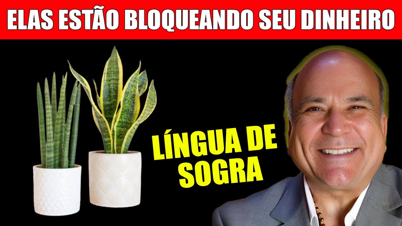 Nunca Coloque a LÍNGUA DE SOGRA (Espada de São Jorge) Aqui – Só atrai Pobreza e Azar