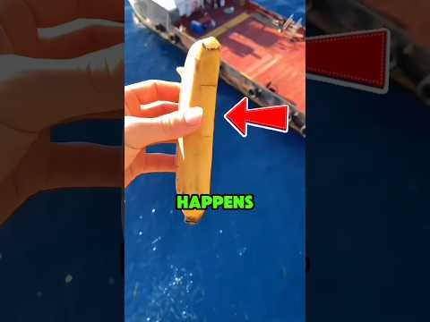 He Threw a Banana into the Ocean and This Happened‼️😱