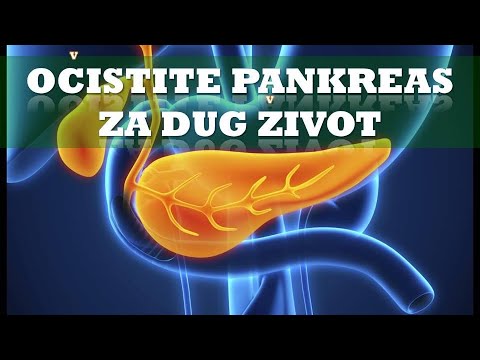 OJAČAJ PANKREAS! ZAŠTO JE ON HEROJ NAŠEG TIJELA! Dr Mihajlović