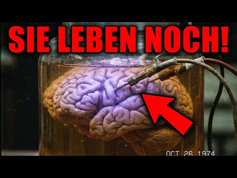 300 Gehirne in einem Tank: Das schrecklichste Experiment des Krieges
