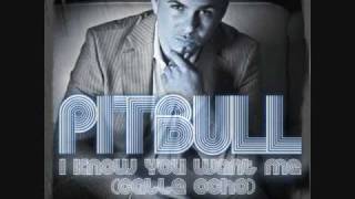 Pitbull - I Know You Want Me (Calle Ocho) [More English Extended Version] *HQ With Lyrics