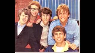 Herman&#39;s Hermits &quot;Don&#39;t Try to Hurt Me&quot;