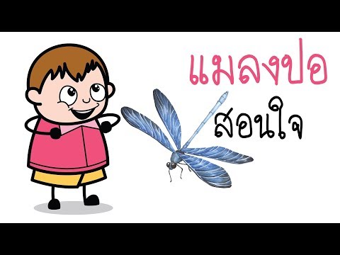 คลิกเพื่อดูคลิปวิดีโอ