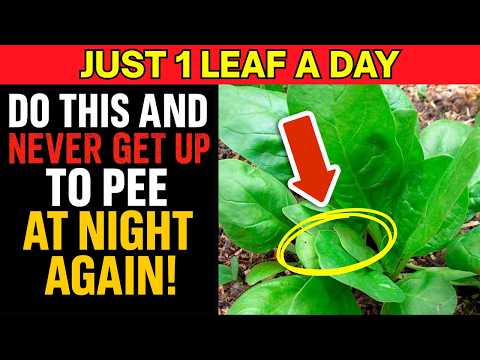 STOP Nighttime Peeing Now: 7 Greens for Deep, Uninterrupted Sleep