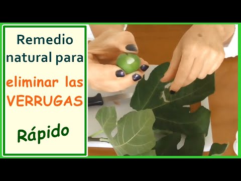 tratament giardia remedii naturale