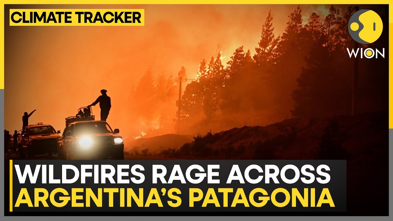 Argentina Wildfires: UNESCO Park Hit as Patagonia Fires Spread | WION