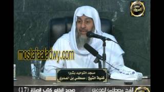 البخاري (81) " الصلاة في مرابض الغنم ومواضع الإبل " كتاب الصلاة باب (49-50) للشيخ مصطفى العدوي image