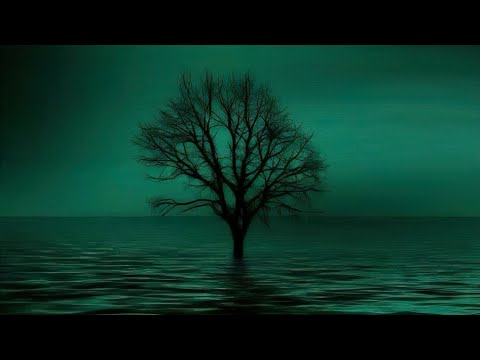 ♪ Atmospheric Doom Metal ♪