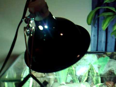 YouTube Video Ijvs2KZnFB8