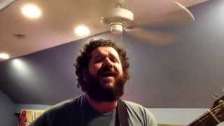 Putting the "F" Back In "Art" - Dillinger Four (acoustic cover)