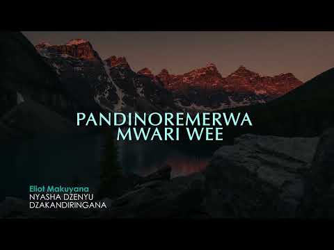 Nyasha dzenyu dzakandiringana-Eliot Makuyana
