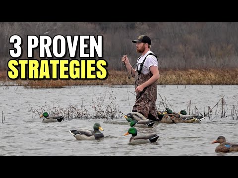 Duck Decoy Strategies That Work