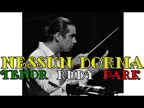 Rudy Park - Nessun Dorma - Detroit, America(USA)2014 - Detroit Opera House - Conductor Valerio Galli
