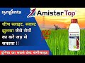 धान में पहेला स्प्रे Syngenta Amistar Top Fungicide दुनि�