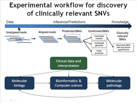 Dr. Sohrab Shah "Mutation discovery in cancer using next generation sequencing" Nov. 26, 2009