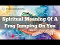 Spiritual Meaning Of A Frog Jumping On You Frog In Dream Meaning