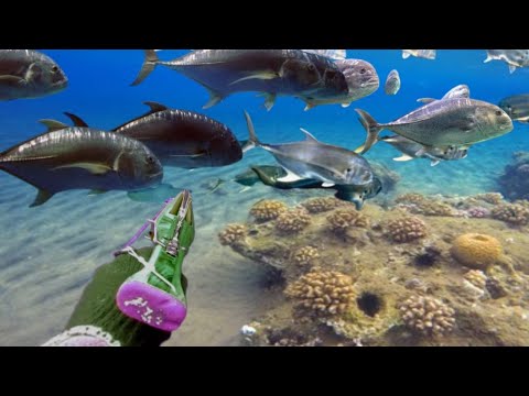 MENANTANG ARUS SAAT SPEARFISHING BOBARA DAN BAKAR HASIL DI PANTAI