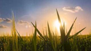 Dream - DJ Cyglas | 1997 | Trance |