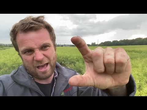 Day 85 #LockDownLearning