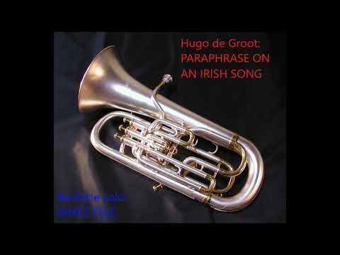 Paraphrase on an Irish Song – Hugo de Groot (solo: Janez Fele)