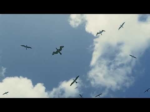 Max Denoise & Kate Marti (aka Katya) - SUMMER