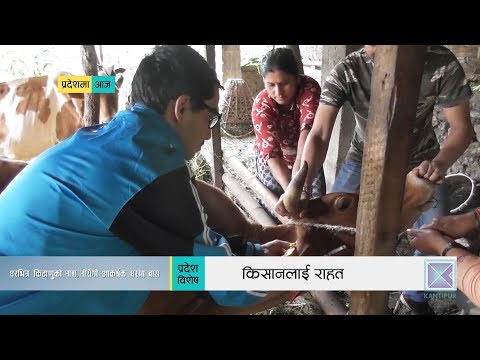 Pradesh Bishesh | प्रदेश विशेष, २३ असोज २०७६