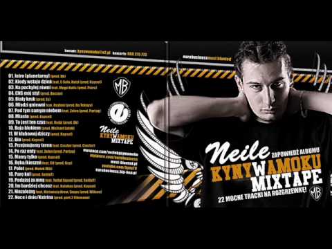 01 Neile-Intro (planetarny)