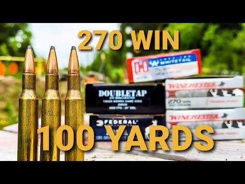 LONG RANGE BULLSH*T?! 270 Winchester Federal Terminal Ascent Ammo Test