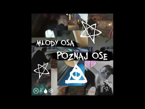 zdechly osa - poznaj ose EP