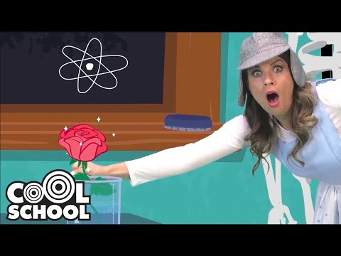 FULL STORY 🔎 THE MYSTERY OF THE MISSING ROSE 🌹 👑 Princess Detective | Ms. Booksy Bedtime Stories