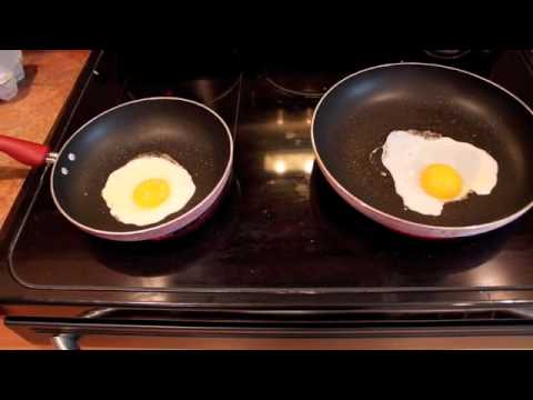 duck eggs vs chicken eggs