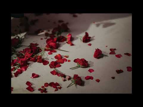 Better (Not Bitter) - King Sis and Jontha Links