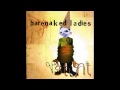 Barenaked Ladies - I'll Be That Girl - KindledKitten Barenaked Ladies - I'll Be That Girl