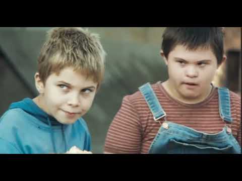 A Desperate Journey Through the Apocalypse ( Best Summary BEYOND THE WASTELAND) 2025