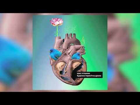макс пташник - виклик (official audio)