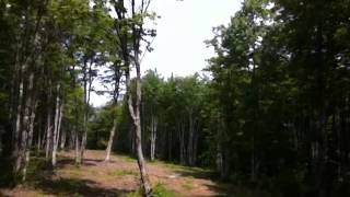 preview picture of video 'First Ace - Hole #15, Hillcrest Farms Disc Golf Course'