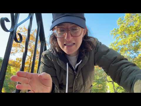 Honest Review: Finisterre Women's Lapwing Insulated Jacket (What to know about the coat, and brand)