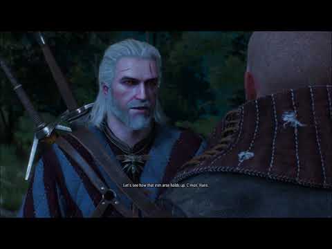 Let's Play The Witcher 3: Wild Hunt Blind Part 67