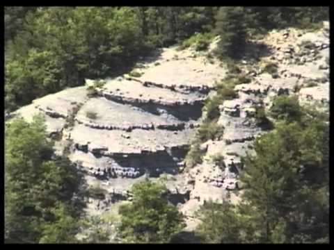 Le Cinéma selon Luc Moullet (1979) by Gérard Courant