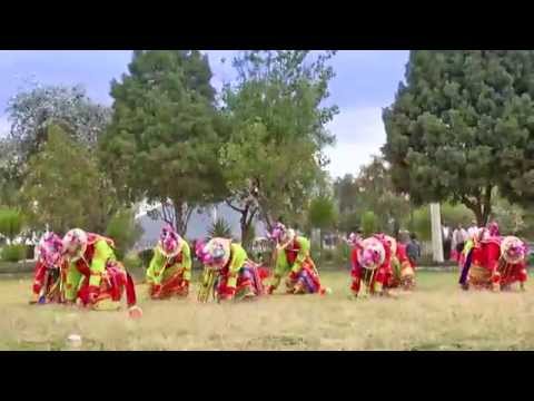 LA COMISION.- Danza ROSAS DE SARON
