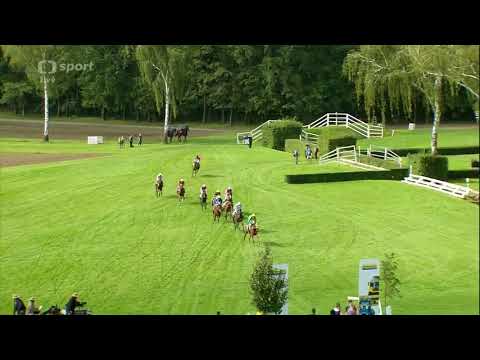 2017.09.09 IV. kvalifikace na 127. Velkou pardubickou s Českou pojišťovnou - Power Zar