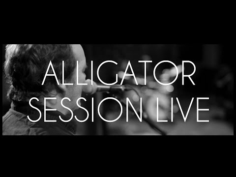 Axel Bauer - Alligator | Live à Ferber | #6