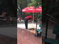Islamabad Heavy Raining Viralvideo Shortsvideo Namaz