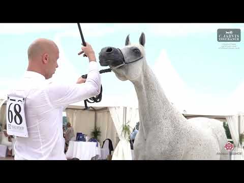 Prague  2023 Intercup   Class SMC