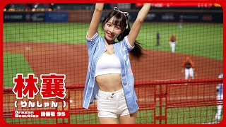 可愛い林襄（りんしゃん）💘 Dragon Beauties 小龍女 味全龍啦啦隊  天母棒球場 2024/8/30【台湾チアTV】